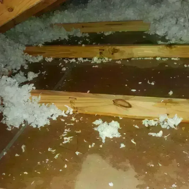 Attic Water Damage in Brownville, ME